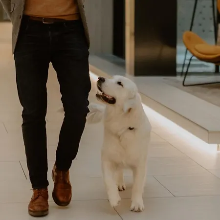 Vision By Continental Group